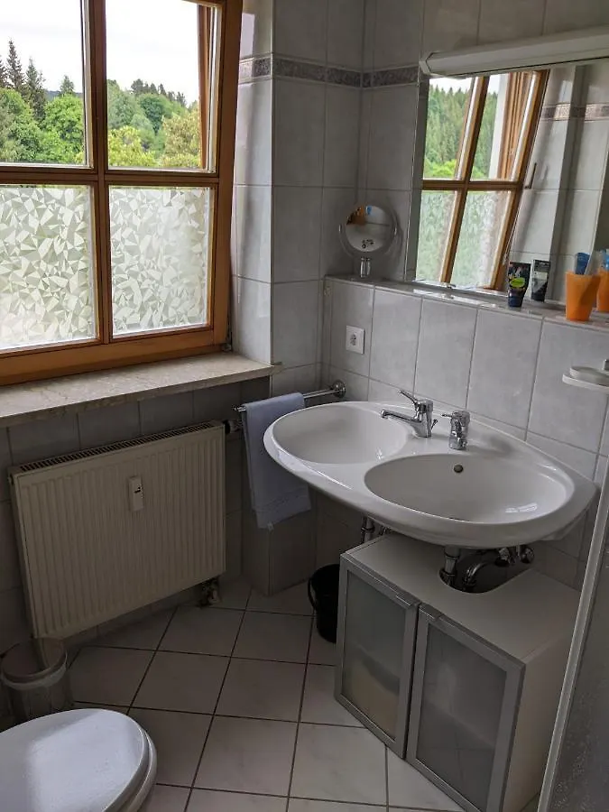 Ferienwohnung Grenzenblick Bayerisch Eisenstein 0*,  Almanya
